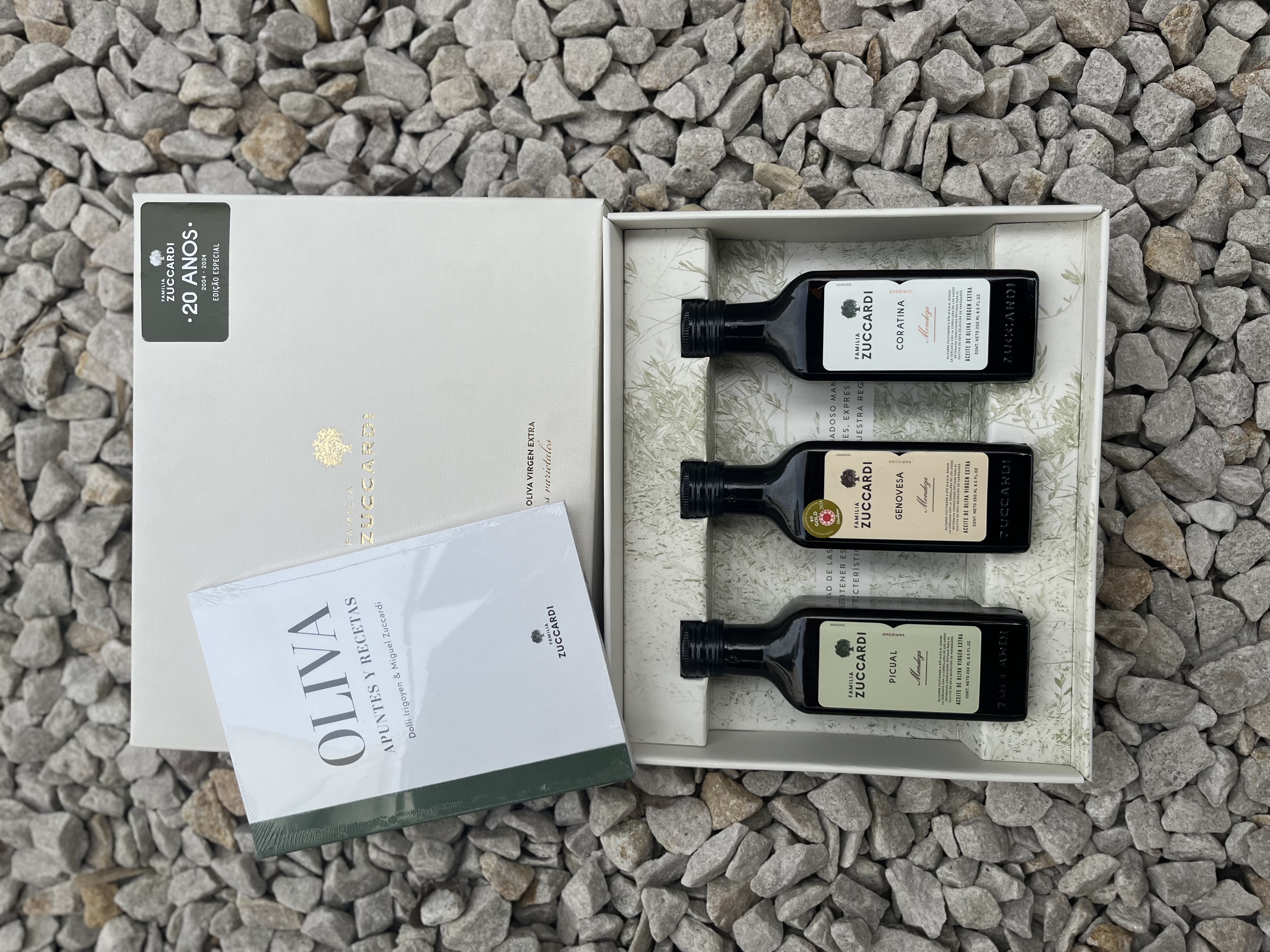 oliva 2